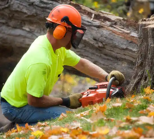 tree services Harlowton